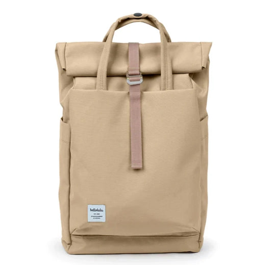 ハロルル　ケーシー（Kacy）